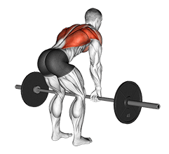 Image of Bent Over Row