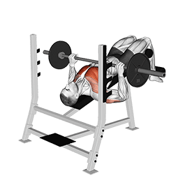 Image of Decline Bench Press