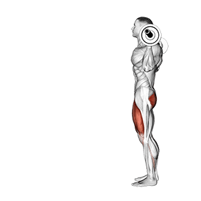 Image of Lunge