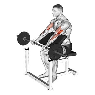 Image of Preacher Curl