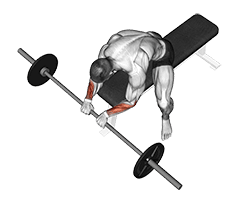 Image of Reverse Wrist Curl