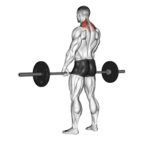 Image of Shrug