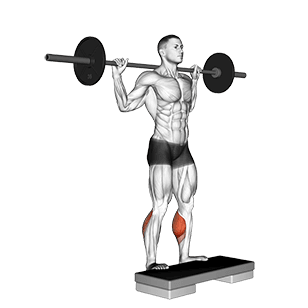 Image of Standing Leg Calf Raise