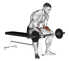 Image of Wrist Curl
