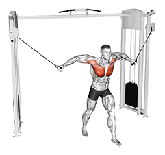 Image of Cable Standing Fly