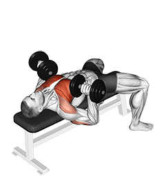 Image of Dumbbell Bench Press