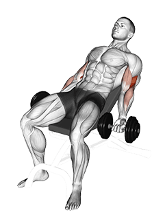 Image of Dumbbell Incline Curl