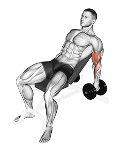 Image of Dumbbell Incline Hammer Curl