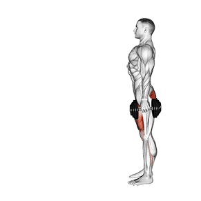 Image of Lunge