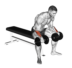Image of Dumbbell Reverse Wrist Curl