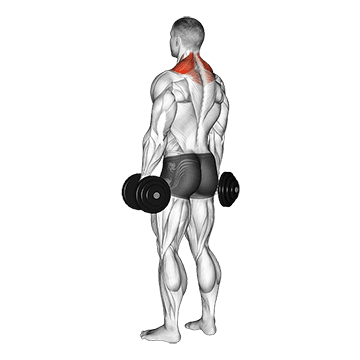 Image of Shrug
