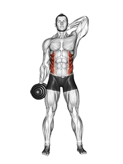 Image of Dumbbell Side Bend
