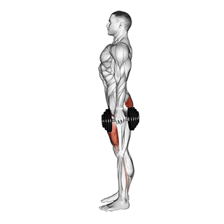 Image of Dumbbell Squat