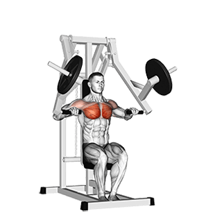 Image of Lever Chest Press