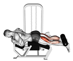 Image of Lever Lying Leg Curl