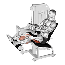 Image of Lever Seated Leg Curl
