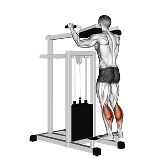 Image of Lever Standing Calf Raise