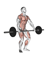 Image of Snatch Pull