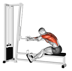 Image of seated row