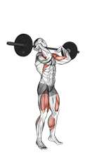 Image of Push Press