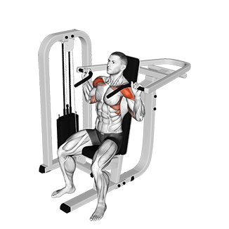 Image of Lever Seated Shoulder Press