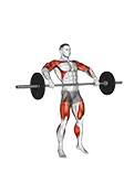 Image of Barbell Muscle Snatch