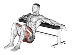 Image of Hip Thrusts