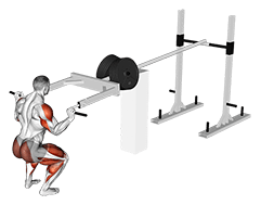 Image of StrongMan Viking Press